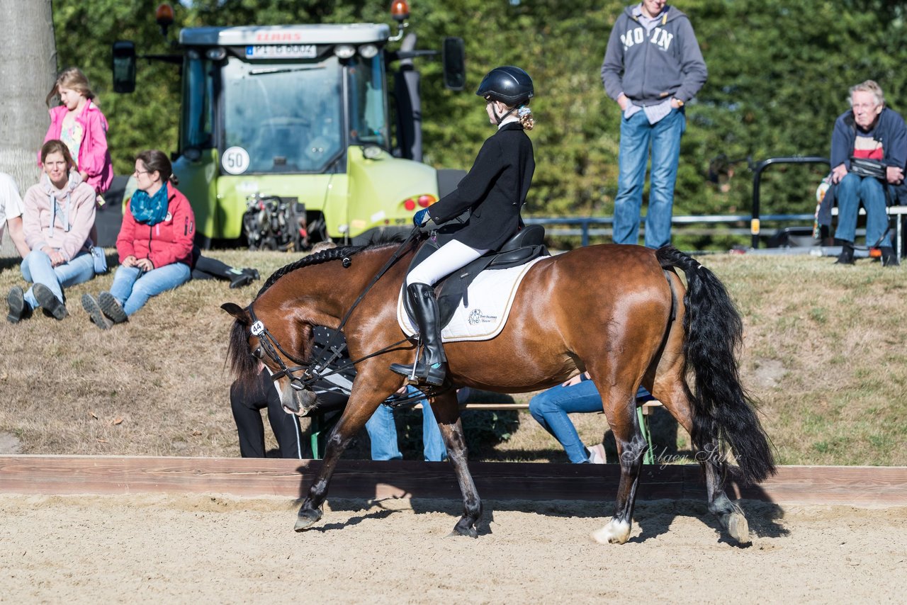 Bild 145 - Pony Akademie Turnier